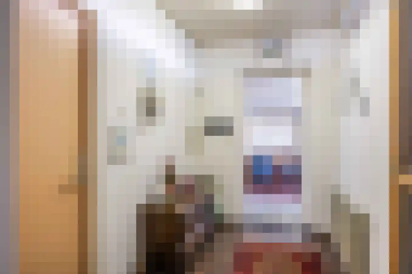 Boonweg 4 St.-Jacobiparochie thumbnail 32