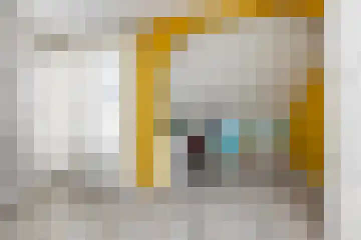 Boorn 9 Zwolle thumbnail 24