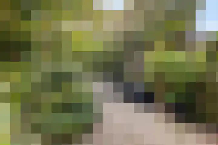 Boorn 9 Zwolle thumbnail 35