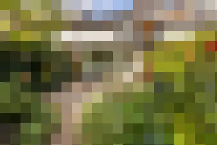 Boorn 9 Zwolle thumbnail 36