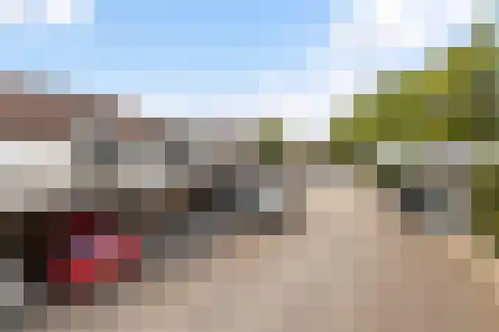Boorn 9 Zwolle thumbnail 37