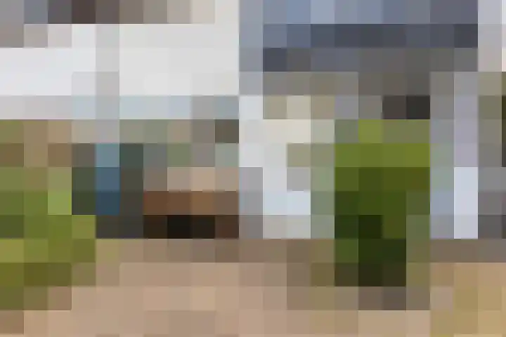 Boorn 9 Zwolle thumbnail 7