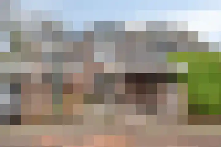 Boötes 2 dans Loon op Zand