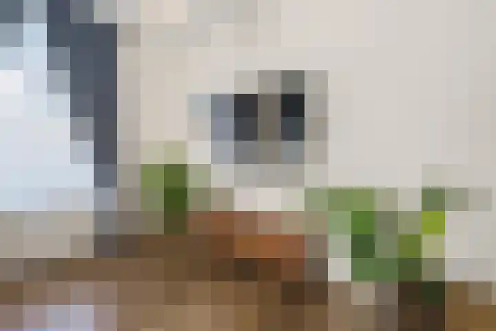 Bootstraat 12 Boskoop thumbnail 13