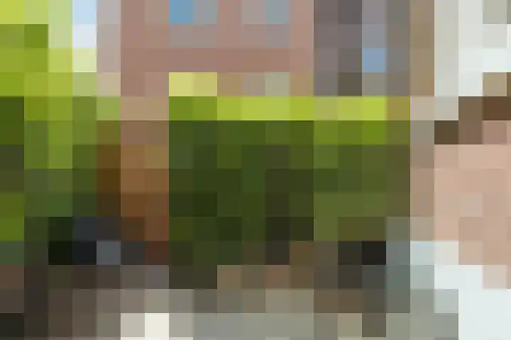 Bootstraat 12 Boskoop thumbnail 5