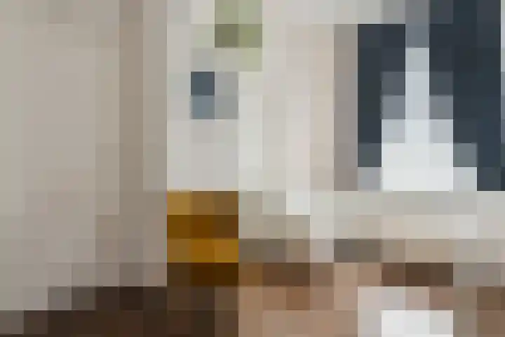 Bootstraat 12 Boskoop thumbnail 9