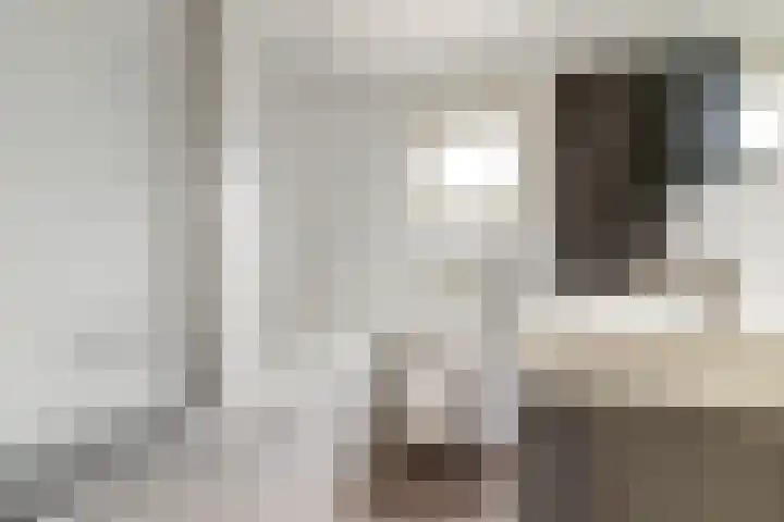 Bootstraat 2 's-Gravendeel thumbnail 22