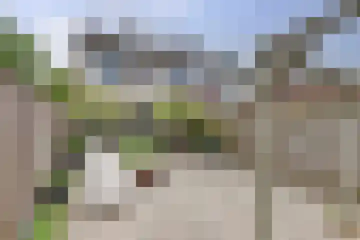 Bootstraat 2 's-Gravendeel thumbnail 30