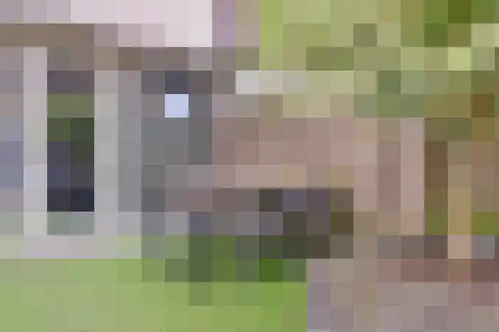 Bootstraat 2 's-Gravendeel thumbnail 33