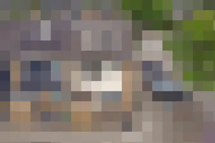 Bootstraat 2 's-Gravendeel thumbnail 34