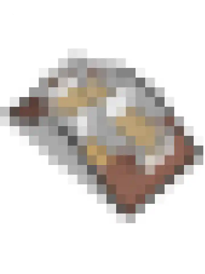 Bootstraat 2 's-Gravendeel thumbnail 44