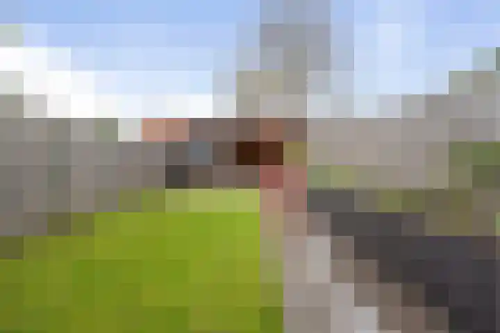 Bootstraat 38 Etten-Leur thumbnail 28
