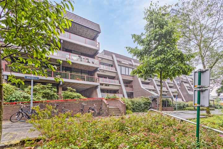 Borchmolen 50 in Eindhoven foto