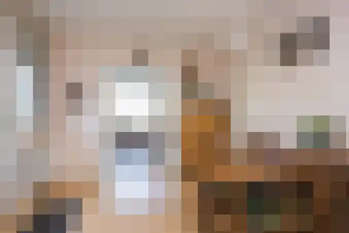 Borculoseweg 46 Ruurlo thumbnail 16