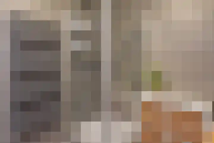 Bordeslaan 348 's-Hertogenbosch thumbnail 14