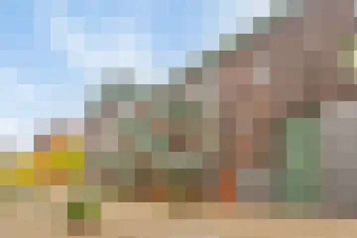 Bordeslaan 348 's-Hertogenbosch thumbnail 28