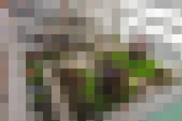 Bordeslaan 384 's-Hertogenbosch thumbnail 19