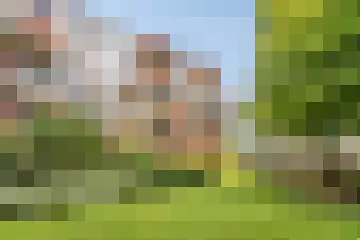 Bordeslaan 55 's-Hertogenbosch thumbnail 15