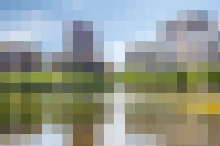 Bordeslaan 55 's-Hertogenbosch thumbnail 44