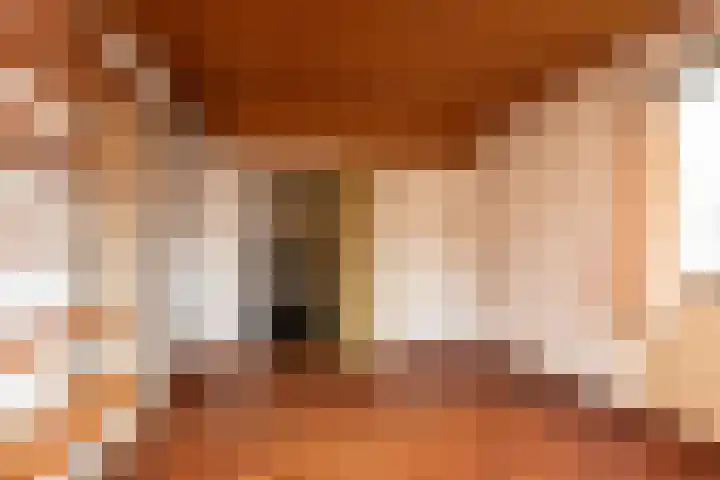Bordine 13 Sneek thumbnail 15