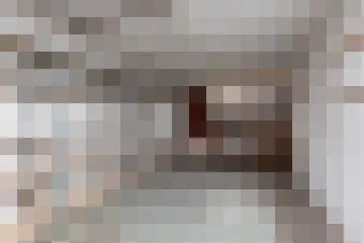 Bordine 13 Sneek thumbnail 31
