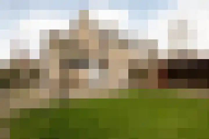 Bordine 13 Sneek thumbnail 32