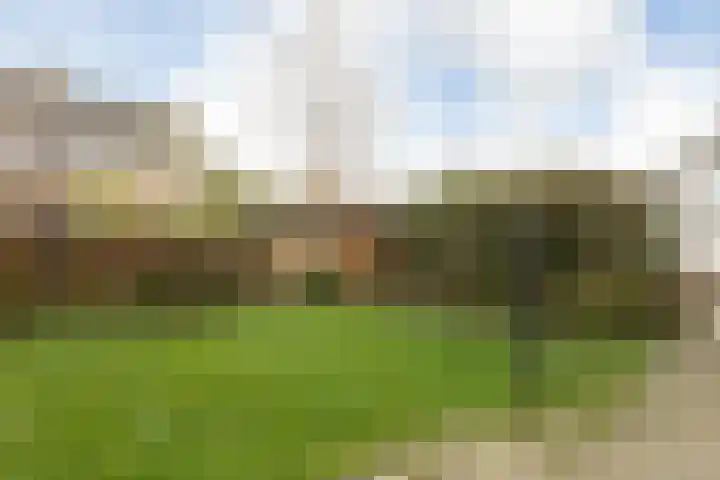 Bordine 13 Sneek thumbnail 34