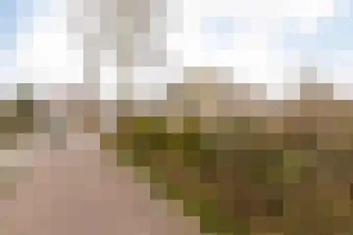 Bordine 13 Sneek thumbnail 35