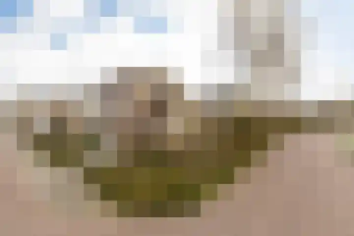 Bordine 13 Sneek thumbnail 36