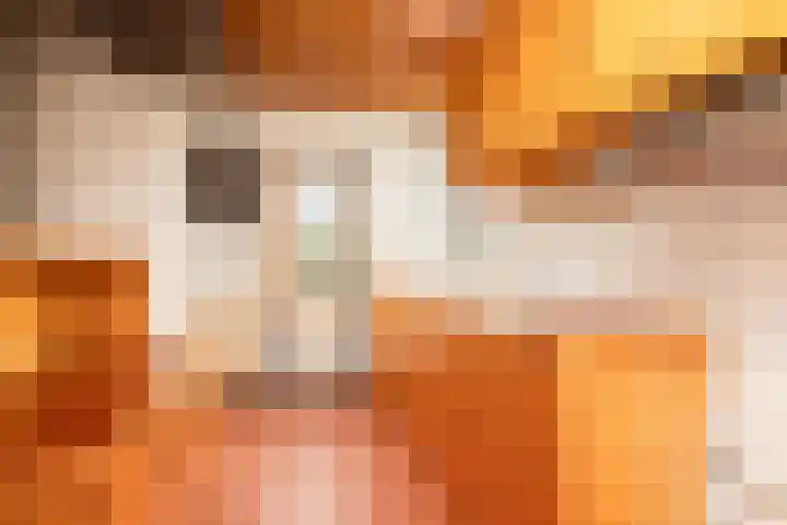 Bordine 13 Sneek thumbnail 8