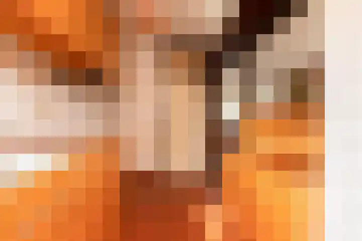 Bordine 13 Sneek thumbnail 9
