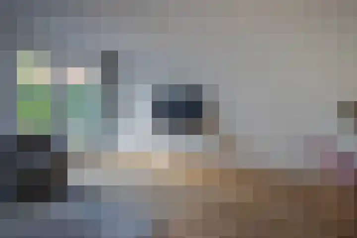 Boreasplantsoen 87 Arnhem thumbnail 10