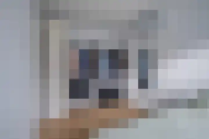Boreasplantsoen 87 Arnhem thumbnail 17