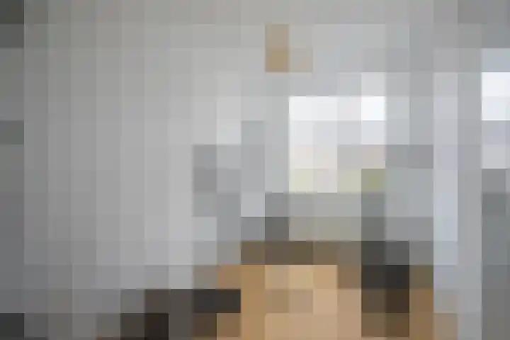 Boreasplantsoen 87 Arnhem thumbnail 20