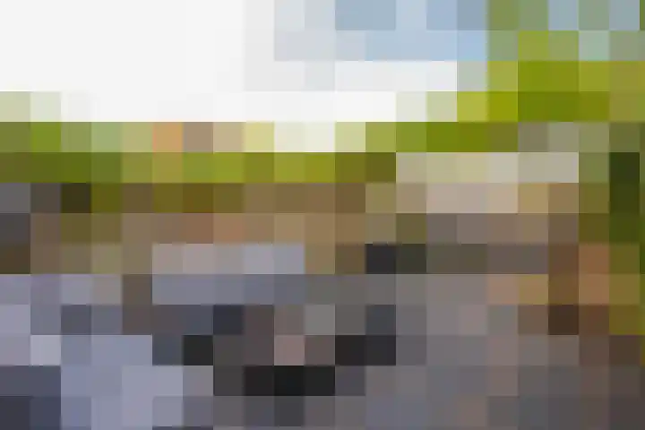 Boreasplantsoen 87 Arnhem thumbnail 29
