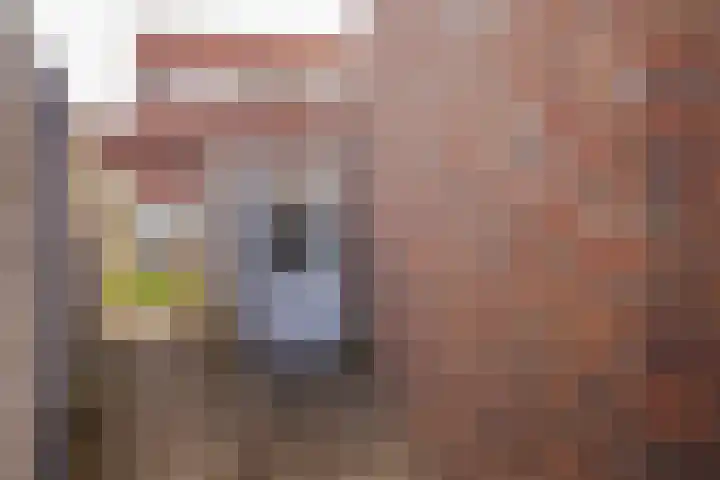 Boreasplantsoen 87 Arnhem thumbnail 30