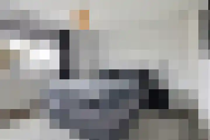 Borg Ekenstein 9 Almelo thumbnail 17