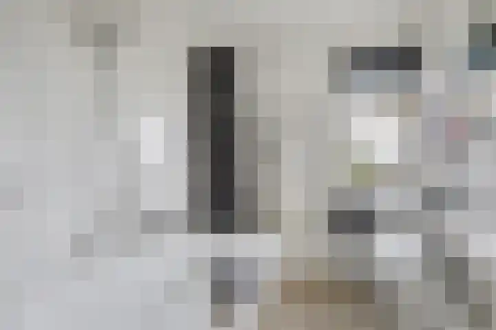 Borg Ekenstein 9 Almelo thumbnail 23