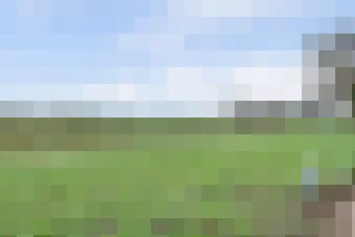 Borg Ekenstein 9 Almelo thumbnail 39