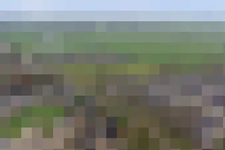 Borg Ekenstein 9 Almelo thumbnail 42