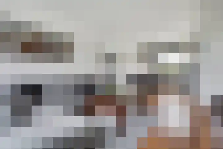 Borg Ekenstein 9 Almelo thumbnail 8