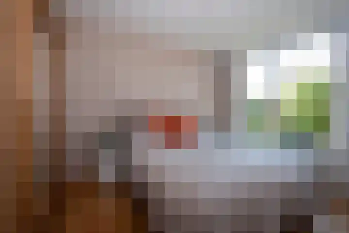 Borg Piloursema 7 Almelo thumbnail 20