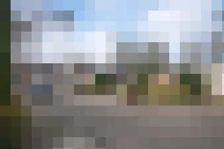 Borg Piloursema 7 Almelo thumbnail 30