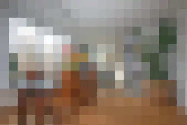 Borg Piloursema 7 Almelo thumbnail 9