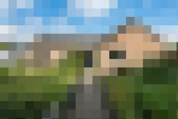 Borg Rusthoven 1 Almelo thumbnail 13