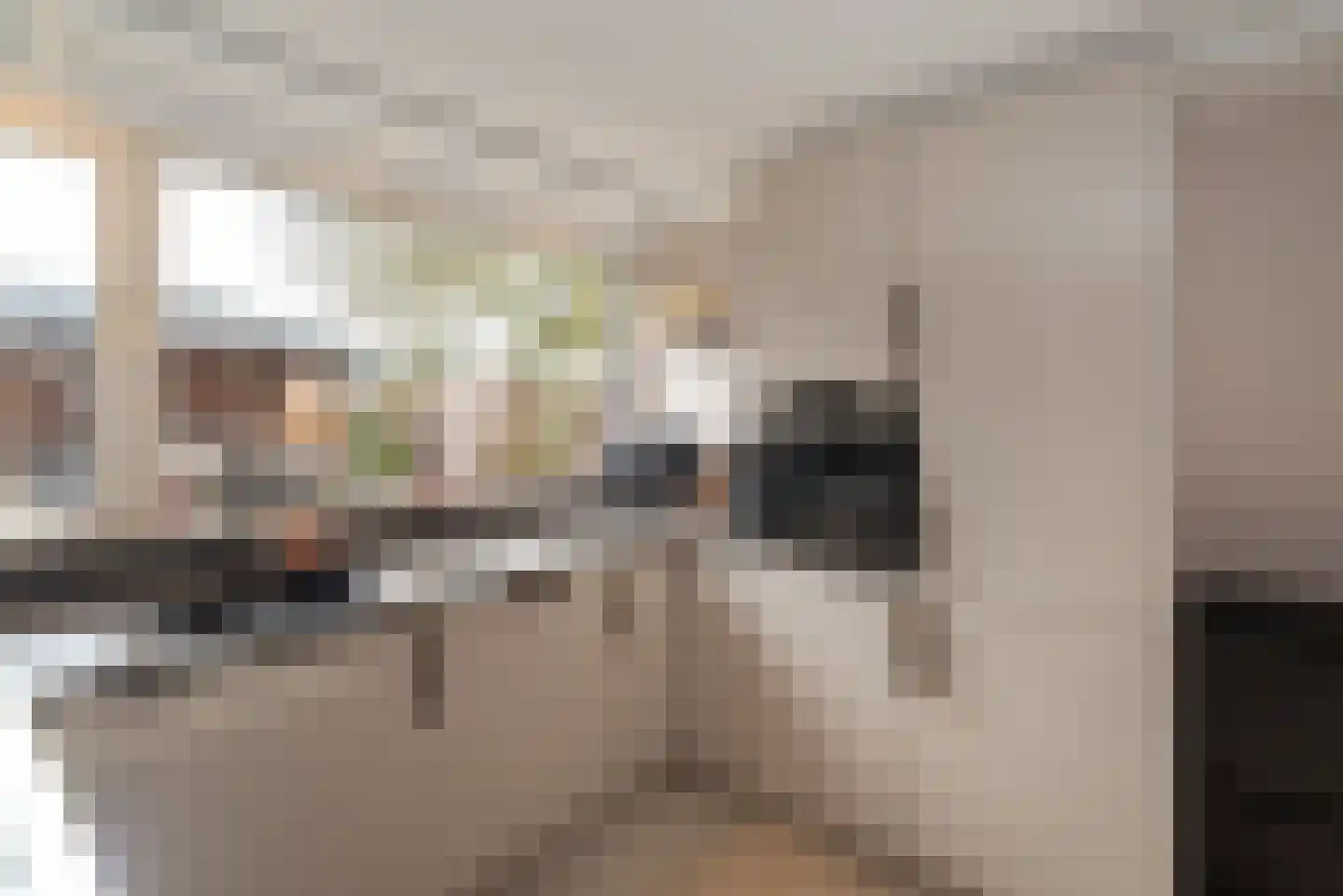 Borg Rusthoven 1 Almelo thumbnail 21