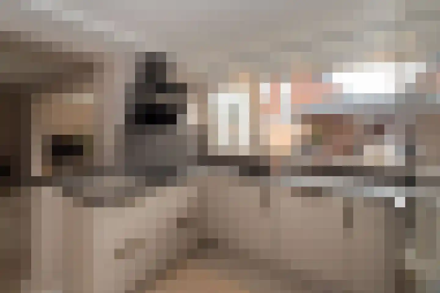 Borg Rusthoven 1 Almelo thumbnail 22