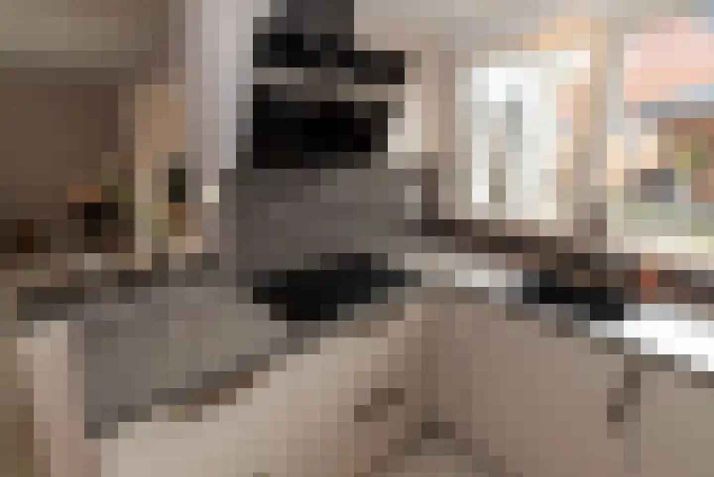 Borg Rusthoven 1 Almelo thumbnail 23