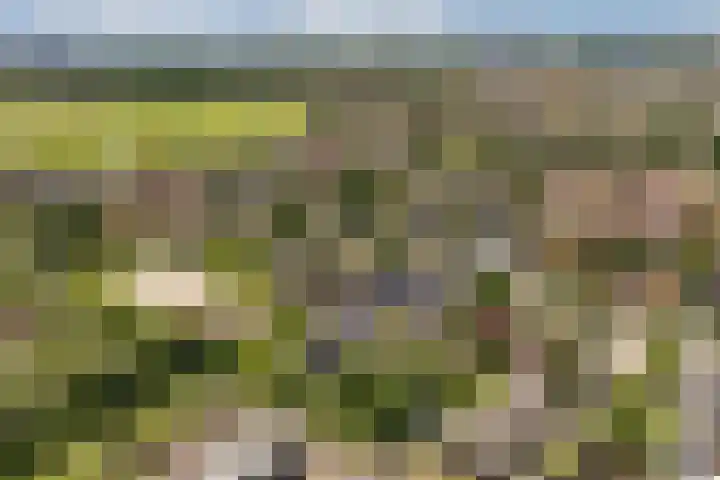 Borg Rusthoven 1 Almelo thumbnail 27