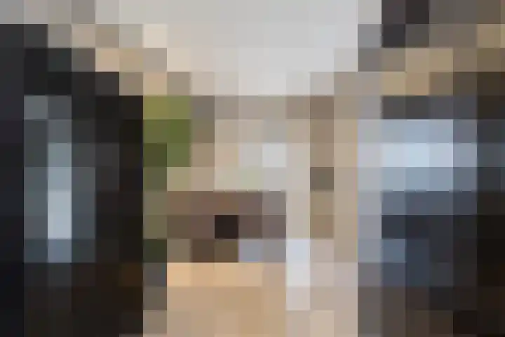 Borg Rusthoven 1 Almelo thumbnail 31